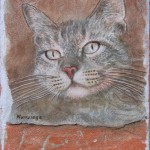 Gatto Grigio