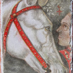 testa di cavallo