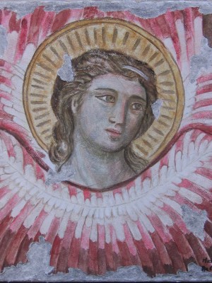 da Cavallini angelo affresco staccato 50x50