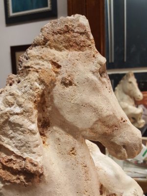 Cavalluccio - Pietra del Salento 2019