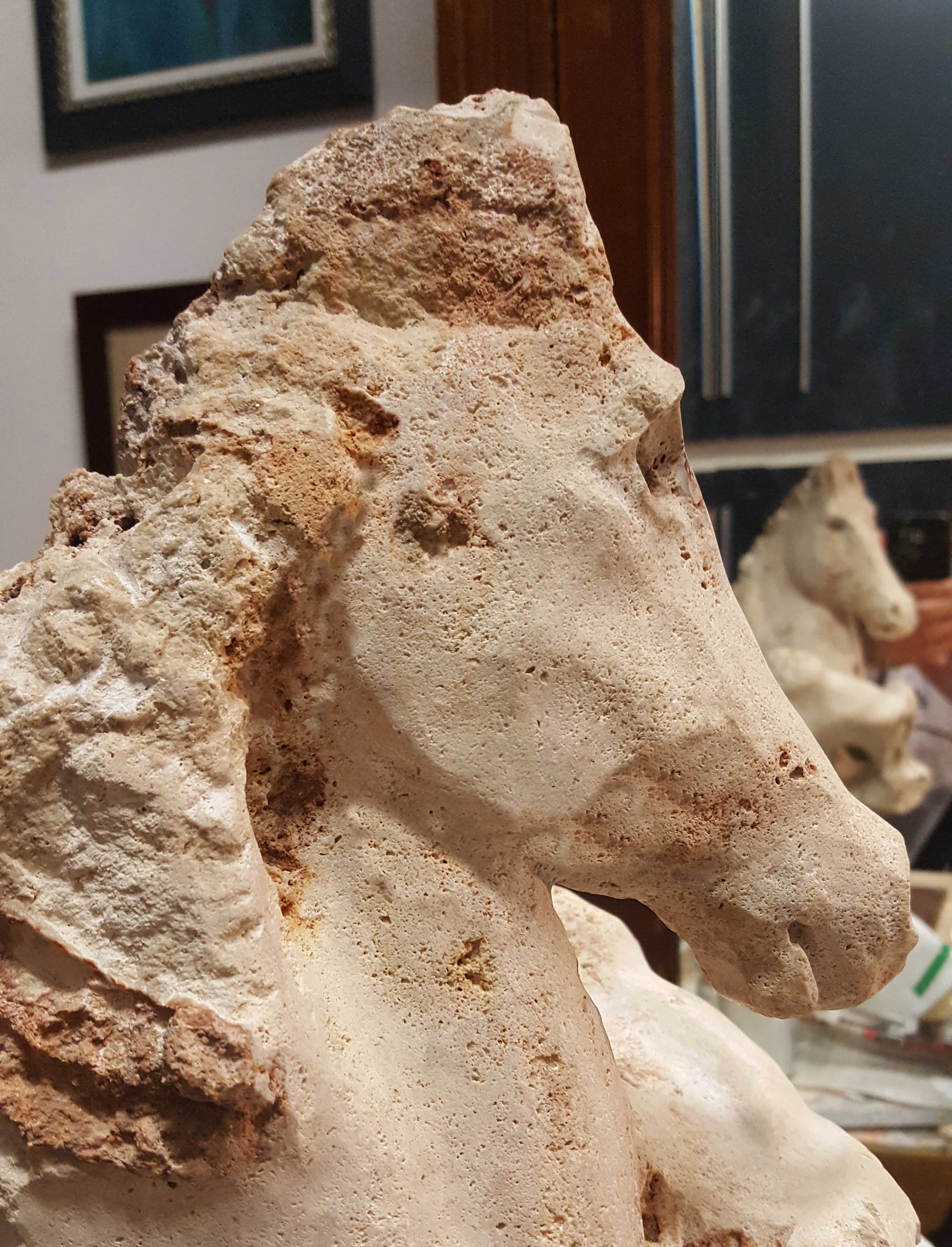 Cavalluccio - Pietra del Salento 2019