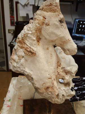 cavalluccio, pietra del Salento 2019
