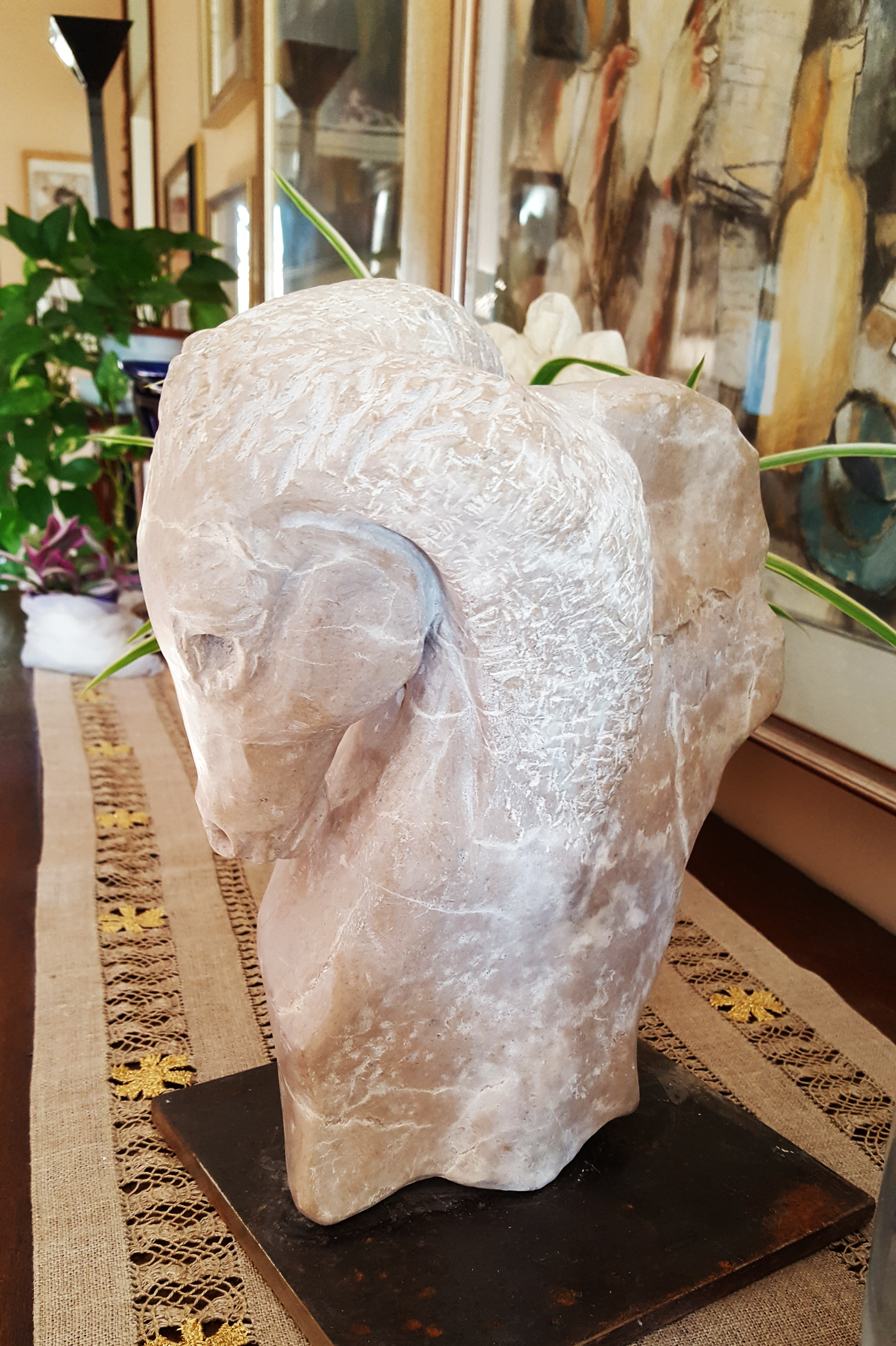 Cavalluccio 2 Pietra del Baldo 2020