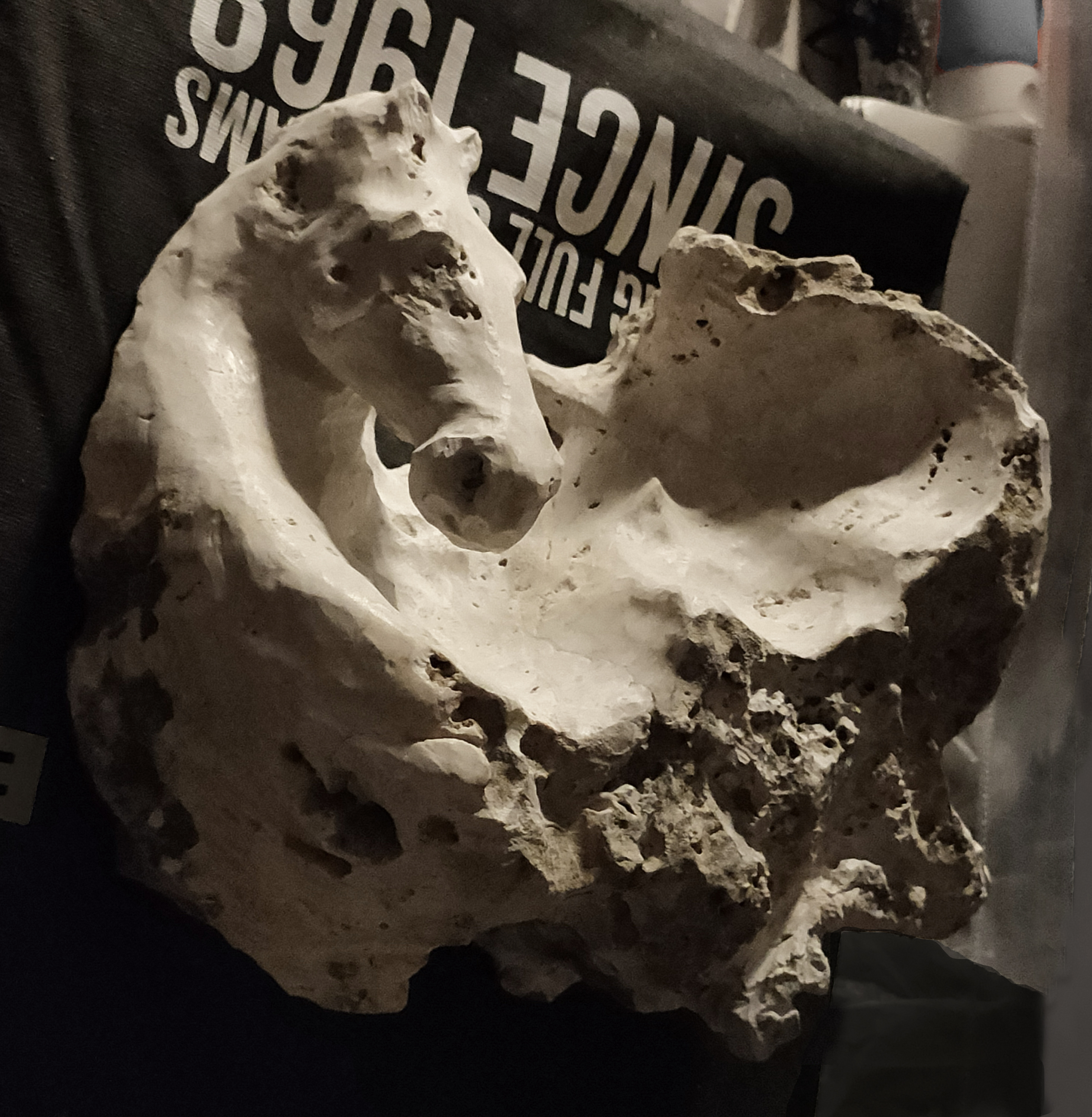 Cavalluccio 2