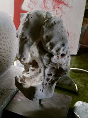 Cavalluccio e tartarughe 3