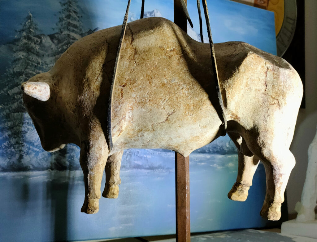 Massiccio toro sospeso cin delle corde a un baldacchino per donargli la leggerezza che non ha