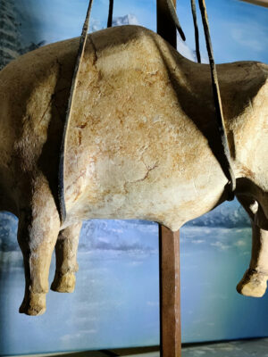 Toro sospeso - marmo del Baldo